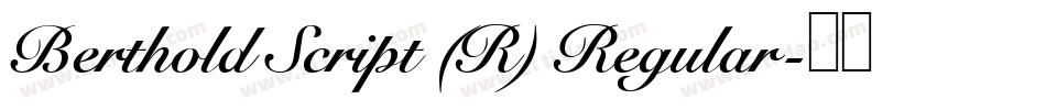 Berthold Script (R) Regular字体转换